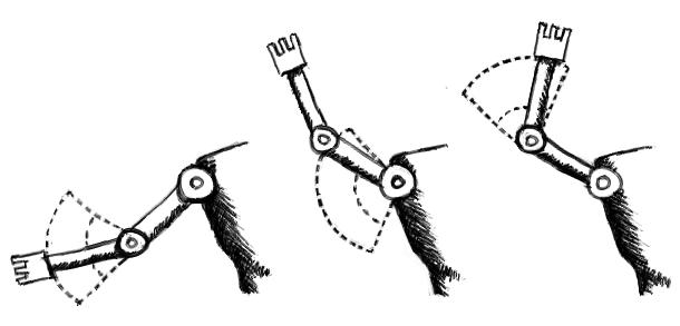 Robot arms demonstrating relative rotation